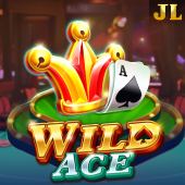 Wild Ace slot Game on d9d9 game